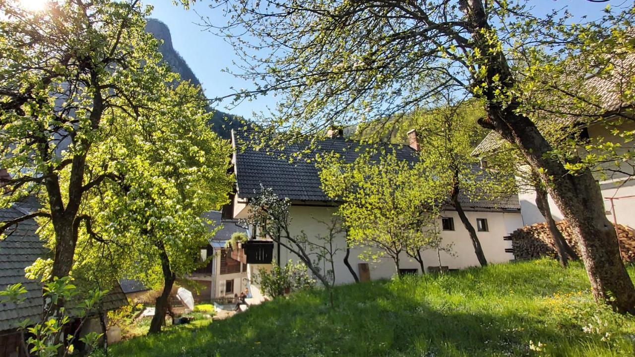 Apartmaji Pekovec Bohinj ภายนอก รูปภาพ