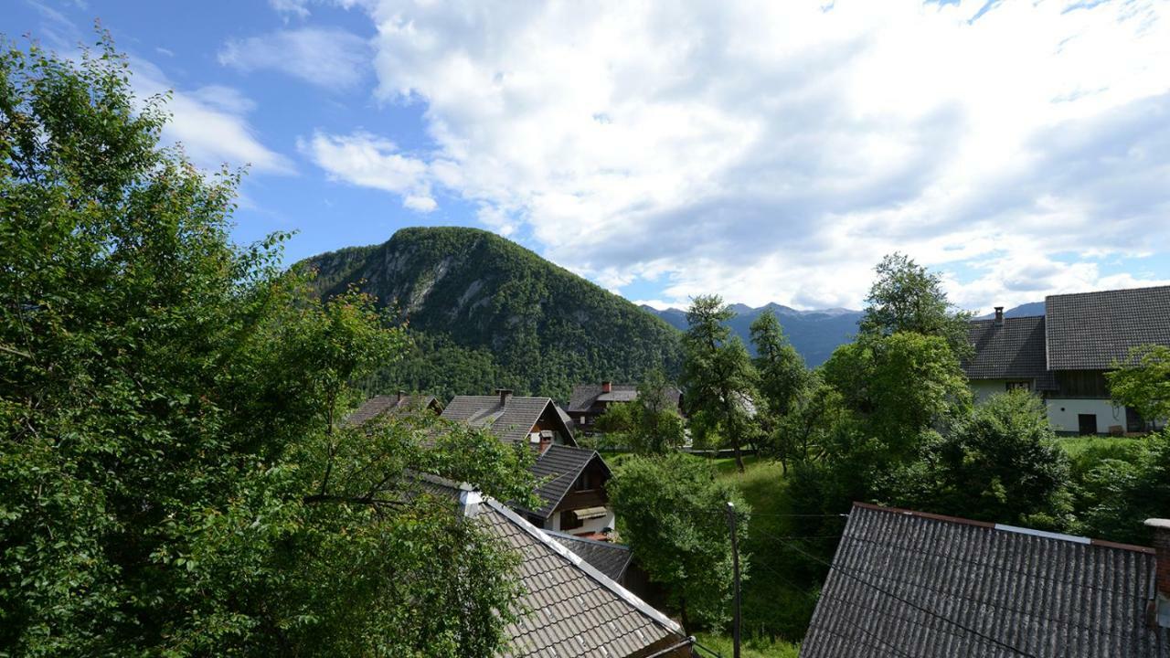 Apartmaji Pekovec Bohinj ภายนอก รูปภาพ