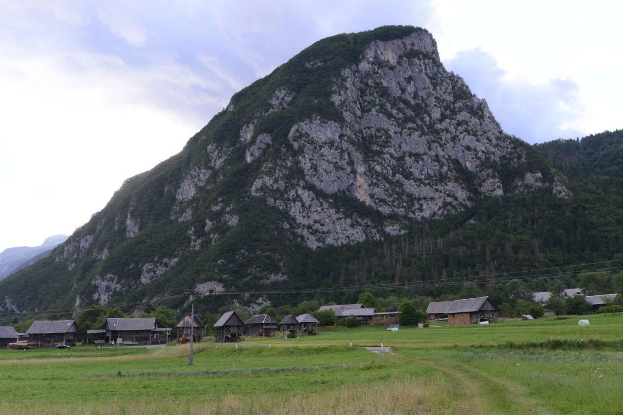 Apartmaji Pekovec Bohinj ภายนอก รูปภาพ